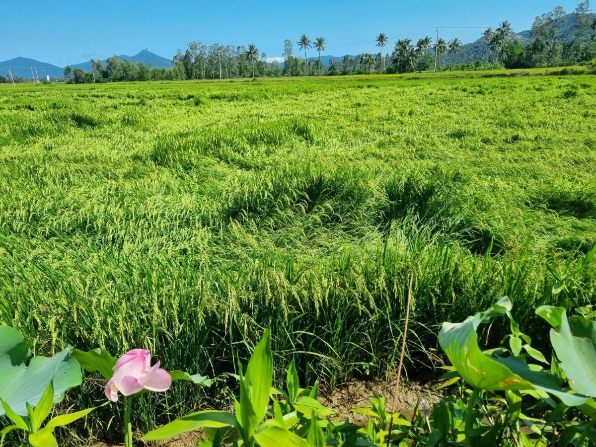 Katie'S Homestay Dong My Ngoại thất bức ảnh