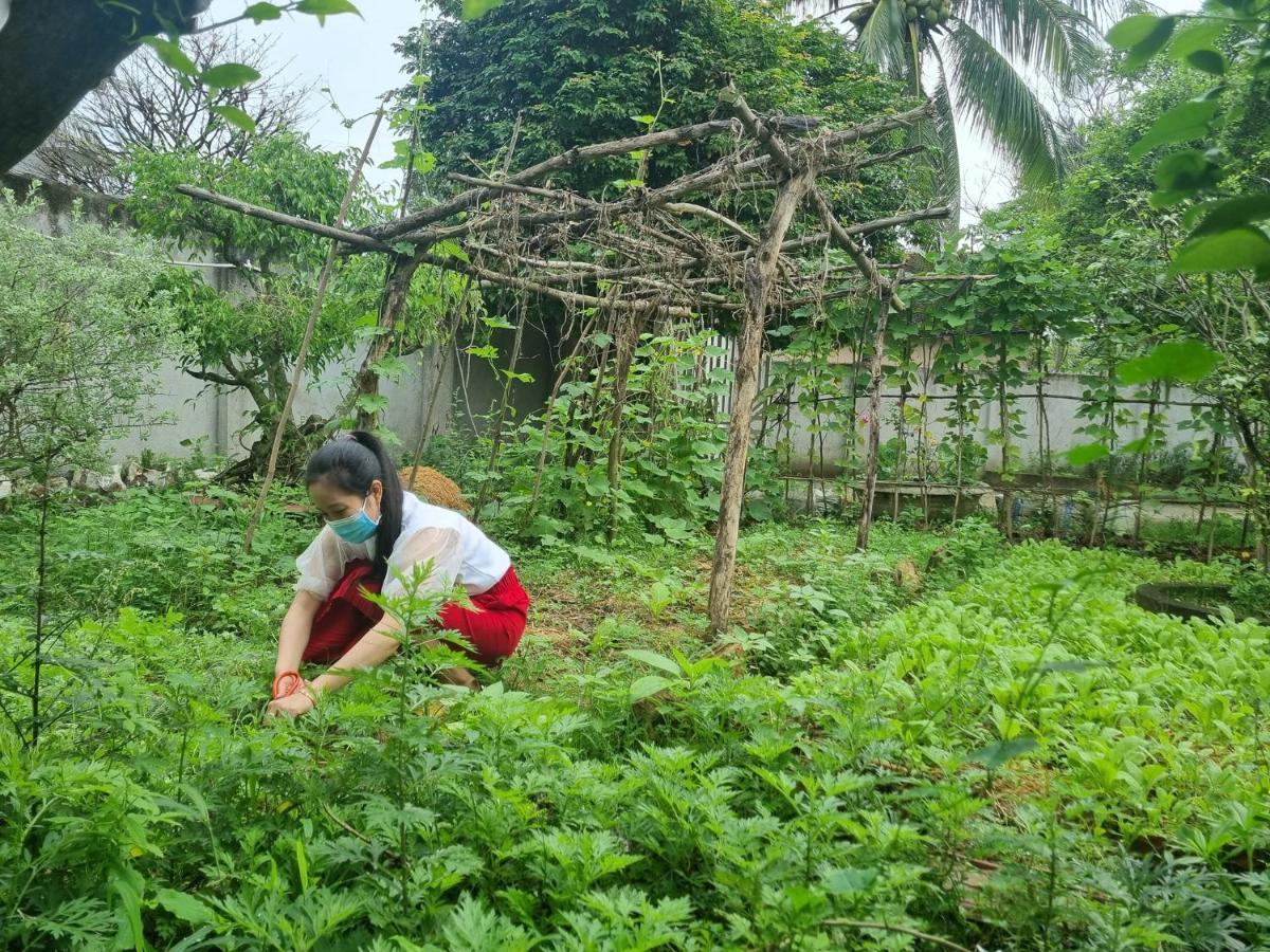 Katie'S Homestay Dong My Ngoại thất bức ảnh
