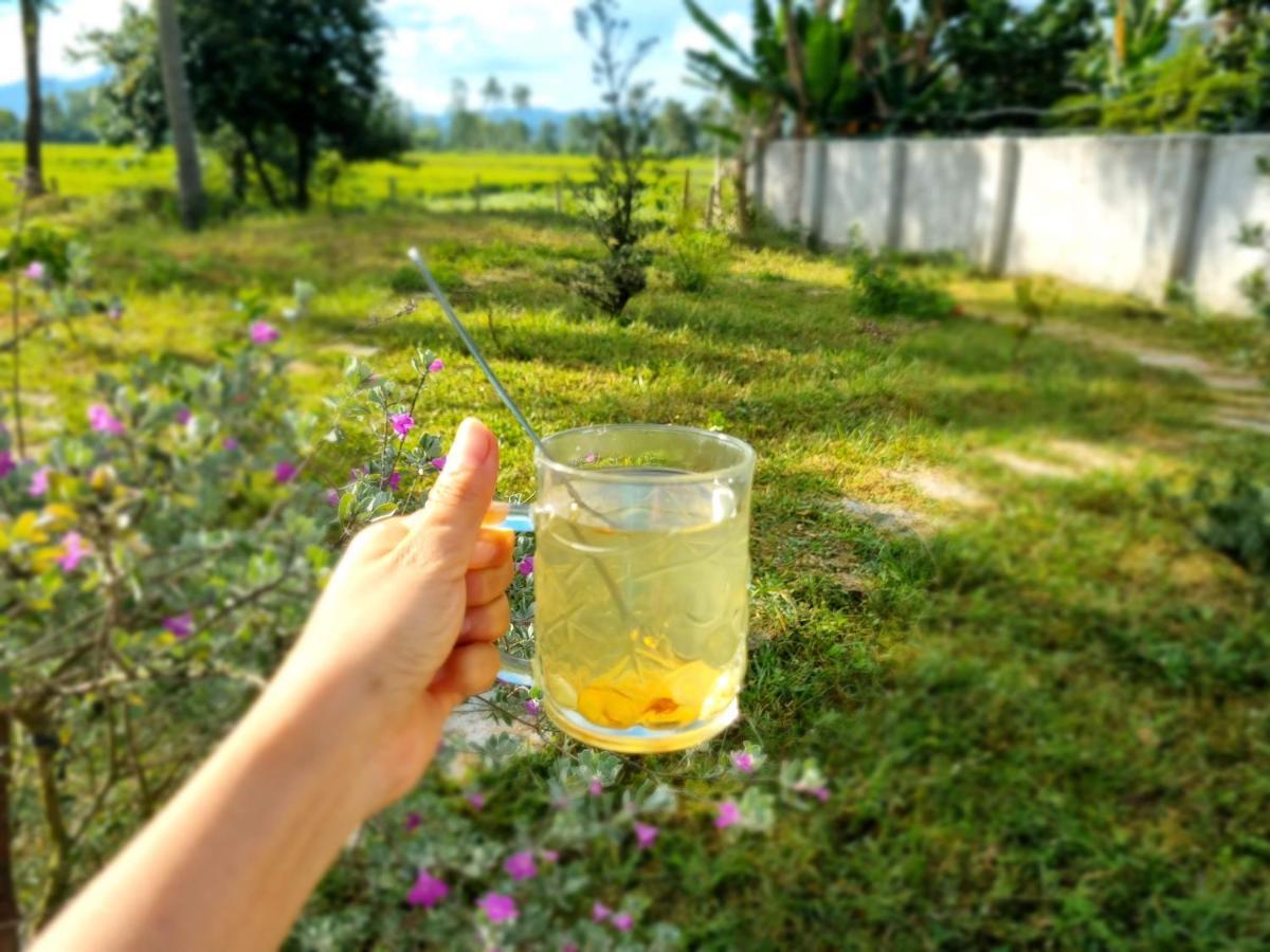 Katie'S Homestay Dong My Ngoại thất bức ảnh
