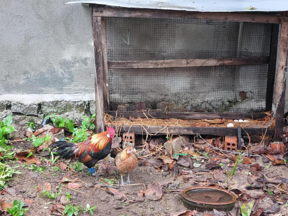 Katie'S Homestay Dong My Ngoại thất bức ảnh