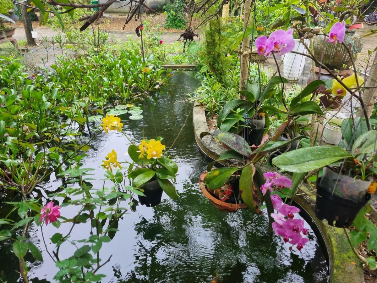 Katie'S Homestay Dong My Ngoại thất bức ảnh