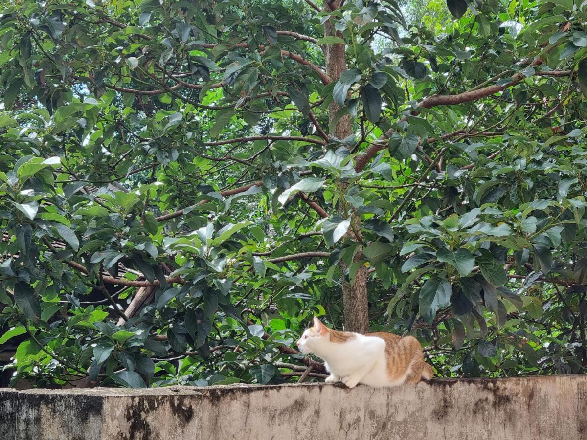 Katie'S Homestay Dong My Ngoại thất bức ảnh